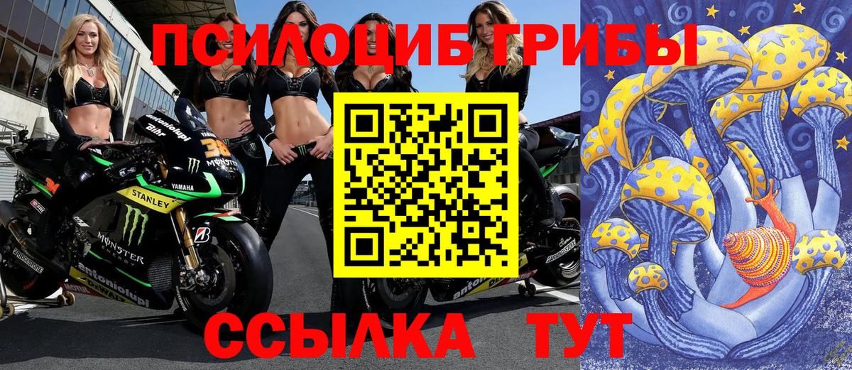 Йошкар-Ола  Галлюциногенные грибы мухоморы  где можно купить наркотик  Вход с VPN 